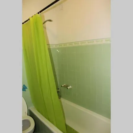 Matur Santa Cruz (Madeira)